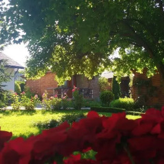 Отель Zora Camping - Bungalows Болгария, Аврен - отзывы, цены и фото номеров - забронировать отель Zora Camping - Bungalows онлайн фото 7