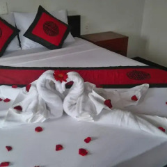 Отель Green Coco Homestay Hoi An 2* Стандартный номер с различными типами кроватей фото 20