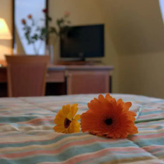 Villa Savoy Spa Park Hotel 4* Стандартный номер с различными типами кроватей фото 16
