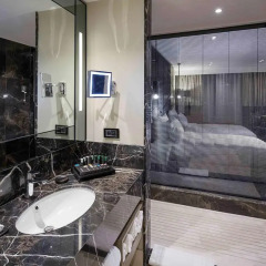 Pullman Istanbul Airport and Convention Center Hotel 4* Стандартный номер с различными типами кроватей