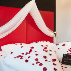 Hotel Senator 4* Стандартный номер с разными типами кроватей фото 3
