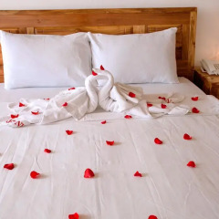 Rex Hotel and Apartment 3* Номер Делюкс с различными типами кроватей фото 3