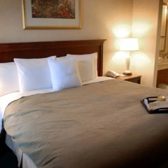 Отель Homewood Suites Columbus-Worthington 3* Стандартный номер фото 2