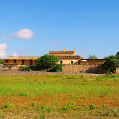 Отель Agroturismo Ses Arenes фото 6