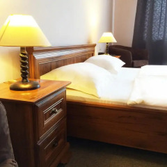Hotel Branik 3* Номер Комфорт с различными типами кроватей фото 2