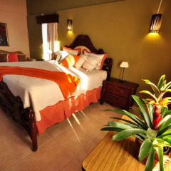 Bavaro Punta Cana Hotel Flamboyan удобства в номере