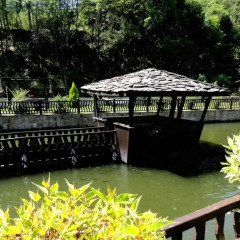 Отель Guest House Pekliuk фото 3