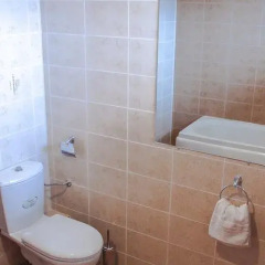 Отель Black Sea View Apartments Болгария, Равда - отзывы, цены и фото номеров - забронировать отель Black Sea View Apartments онлайн ванная