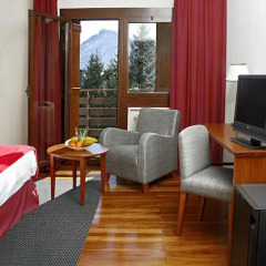 Abba Formigal Hotel 4* Стандартный номер с различными типами кроватей фото 4
