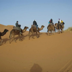Отель Merzouga Camp Марокко, Мерзуга - отзывы, цены и фото номеров - забронировать отель Merzouga Camp онлайн приотельная территория фото 2