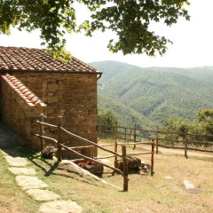 Отель Tribbiano Ареццо спортивное сооружение