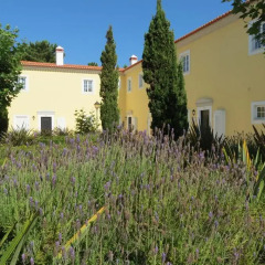 Отель Casa Pinha фото 7