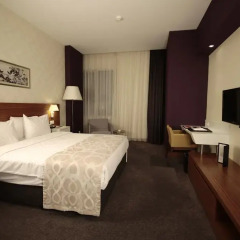 Ramada Plaza Istanbul Asia Airport 5* Стандартный номер с различными типами кроватей фото 4