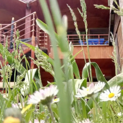 Haros Apart Hotel Турция, Узунгёль - отзывы, цены и фото номеров - забронировать отель Haros Apart Hotel онлайн фото 3