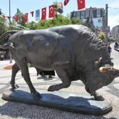 Отель Ayyıldızlar Otel спортивное сооружение