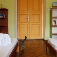 Хостел Элементарно Кровать в общем номере с двухъярусными кроватями фото 14