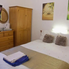 Ardsley Hotel комната для гостей фото 3