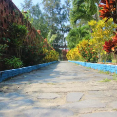Отель Dragon Sea Homestay Хойан фото 21