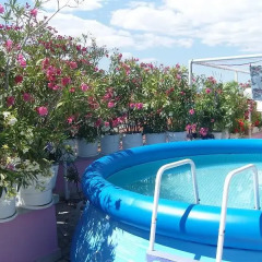 Отель Guesthouse JANA Поморие бассейн фото 2
