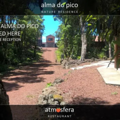 Отель Alma do Pico Португалия, Мадалена - отзывы, цены и фото номеров - забронировать отель Alma do Pico онлайн фото 7