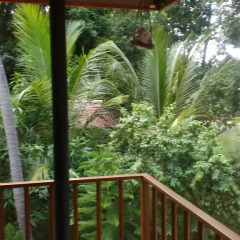 Отель Mayura Rest Inn балкон