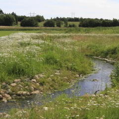 Отель Tværskov Mølle Bed & Breakfast