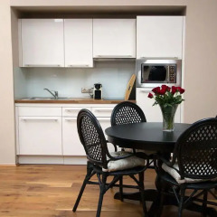 Отель Vienna Suites 3* Люкс с различными типами кроватей