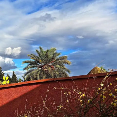 Отель Riad Dari Марокко, Марракеш - отзывы, цены и фото номеров - забронировать отель Riad Dari онлайн фото 4