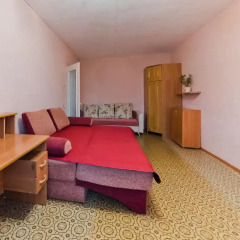 Апартаменты Askora Apartment Beloe Ozero комната для гостей фото 3