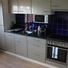 Апартаменты Letzigrund Apartments в номере фото 2