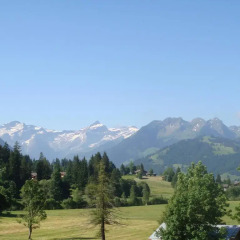 Отель Chalet Weidhaus Ferienwohnung & Zimmer фото 5