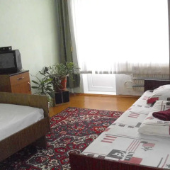 Гостиница Homestay Gagarina 17 Стандартный номер разные типы кроватей фото 12