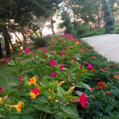 Atliman Beach Park Hotel фото 10