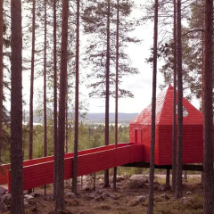 Tree Hotel детские мероприятия фото 2