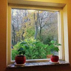 Отель Villa Forest интерьер отеля