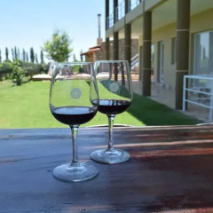Отель Chaglasian Wine & Suites Сан-Рафаэль фото 10