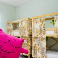 Cheshire Cat Hostel Сочи развлечения