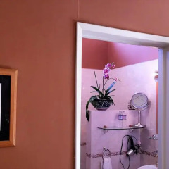 Отель Dickinson Guest House 3* Стандартный номер с различными типами кроватей фото 47