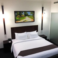 Hotel Nippon Colombo 3* Стандартный номер с двуспальной кроватью фото 13