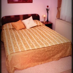 Hotel Vila Tina 3* Стандартный номер с различными типами кроватей фото 9