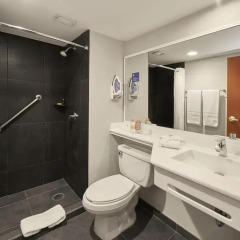 Отель City Express Insurgentes Sur 3* Стандартный номер