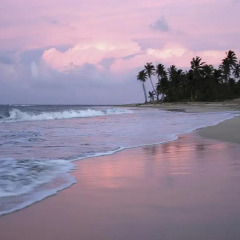 Отель Sivory Punta Cana Пунта Кана фото 32
