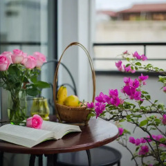 Meracus Hotel 2 3* Полулюкс с различными типами кроватей фото 7