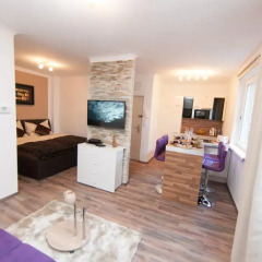 Апартаменты Traditional Apartments Vienna TAV Design Вена комната для гостей фото 2