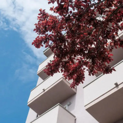 Отель Residence Art