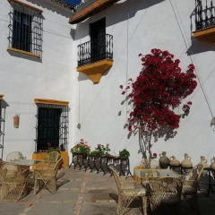 Отель Hacienda El Santiscal - Adults Only Испания, Аркос -де-ла-Фронтера - отзывы, цены и фото номеров - забронировать отель Hacienda El Santiscal - Adults Only онлайн фото 5