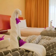 Los Patios Hotel 3* Стандартный номер с разными типами кроватей