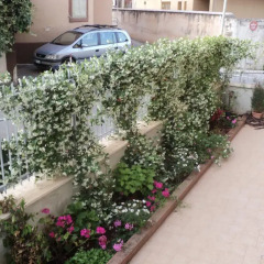 Отель Angolo in Fiore Италия, Палермо - отзывы, цены и фото номеров - забронировать отель Angolo in Fiore онлайн парковка