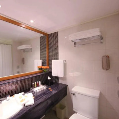Отель Grand Park Xian 4* Стандартный номер с различными типами кроватей фото 2