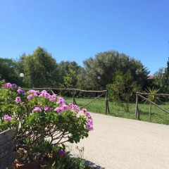 Отель Camping Valle Dei Templi Агридженто спортивное сооружение